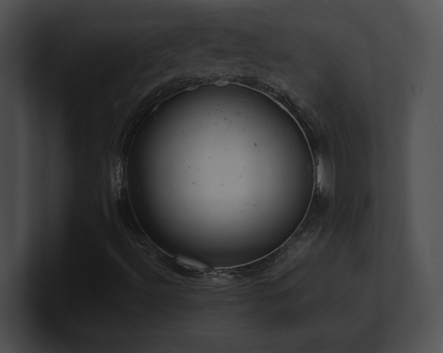 X0000100901492200806241241