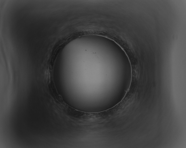 X0000100901493200806241241