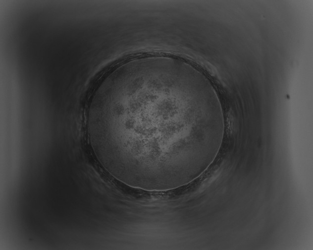 X0000100901494200806241241