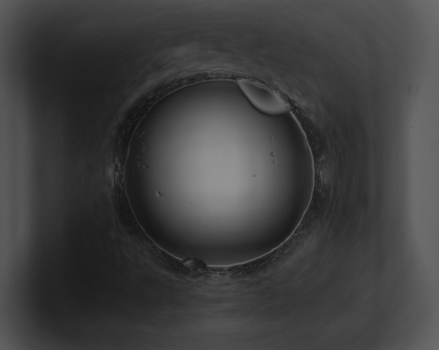 X0000100901495200806241241