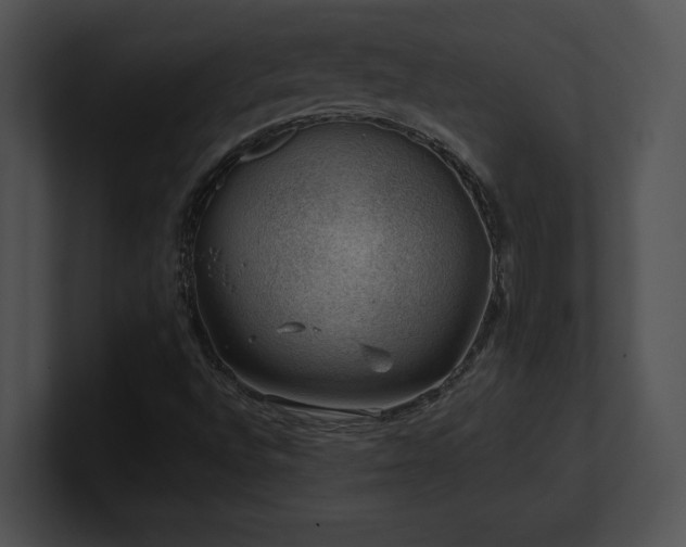 X0000100901496200806241241