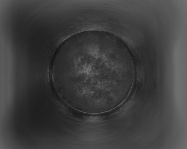 X0000100901497200806241241