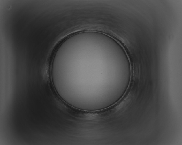X0000100901498200806241241