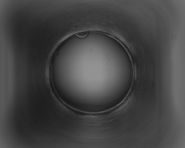 X0000100901500200806241241