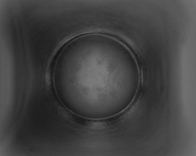 X0000100901501200806241241