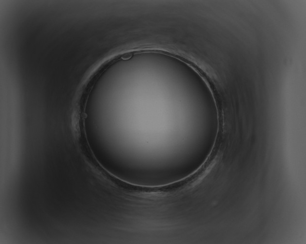 X0000100901502200806241241