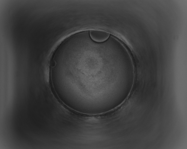 X0000100901504200806241241