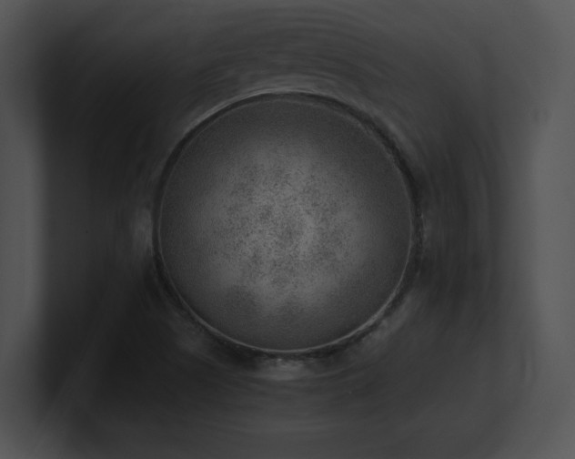 X0000100901505200806241241
