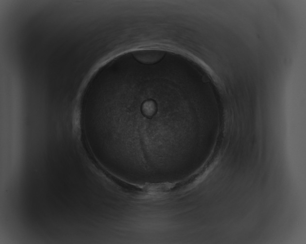 X0000100901506200806241241