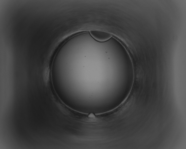 X0000100901507200806241241