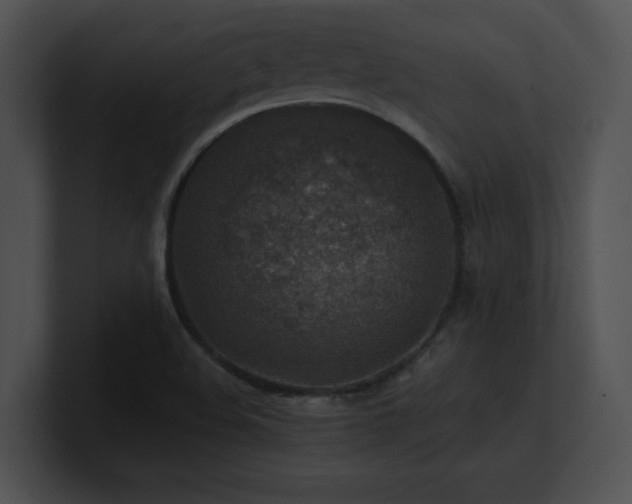 X0000100901508200806241241