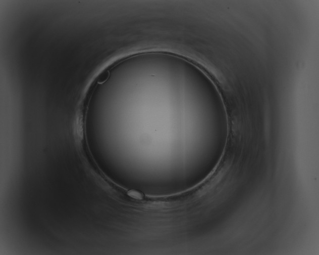 X0000100901510200806241241