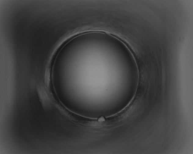 X0000100901511200806241241