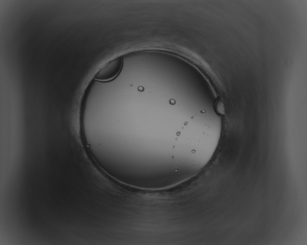 X0000100901512200806241241