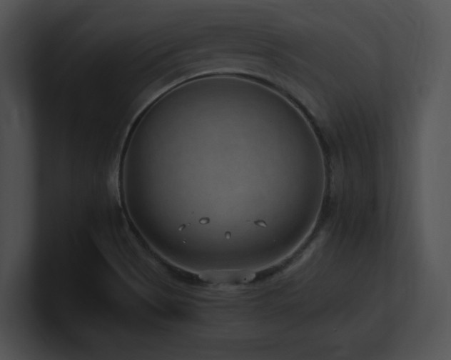 X0000100901513200806241241