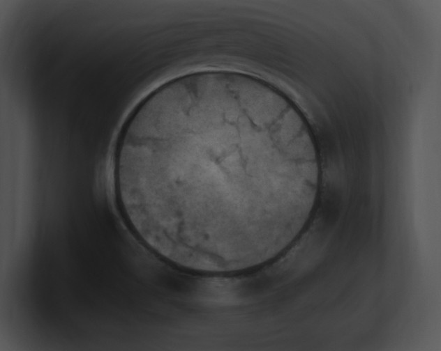 X0000100901514200806241241