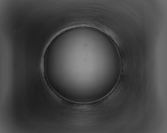 X0000100901516200806241241