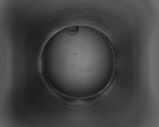 X0000100901517200806241241