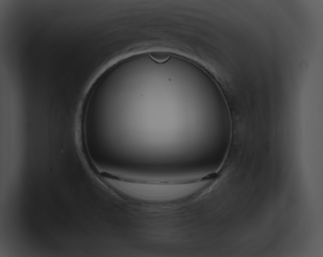 X0000100901518200806241241