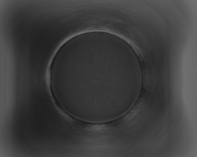 X0000100901519200806241241