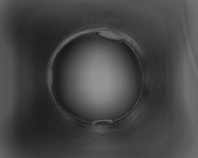 X0000100901520200806241241