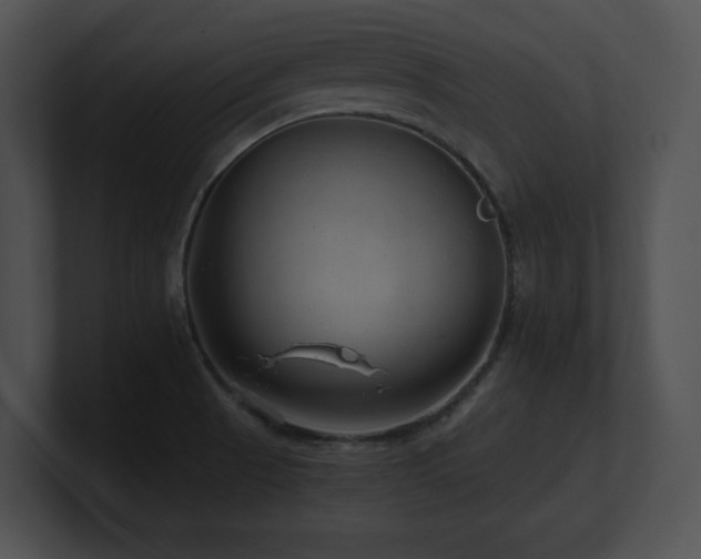 X0000100901521200806241241