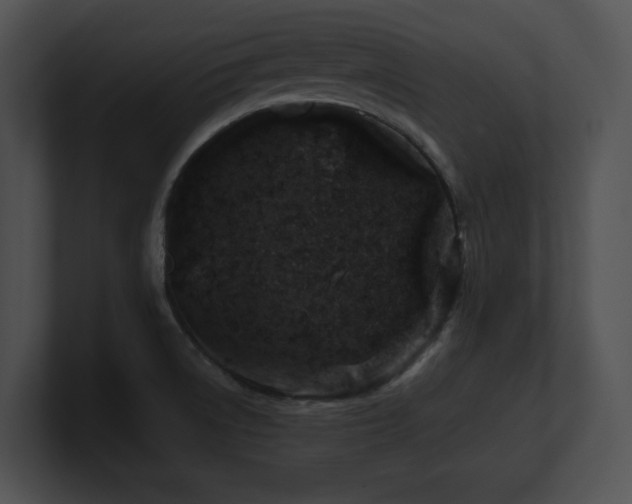 X0000100901522200806241241