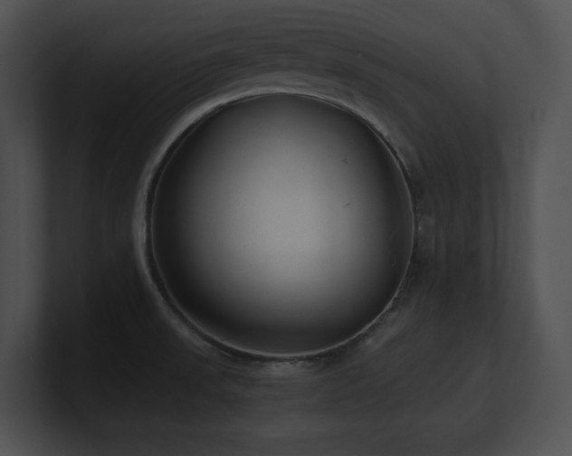 X0000100901523200806241241