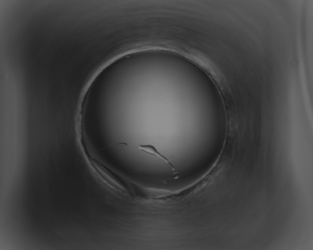 X0000100901524200806241241