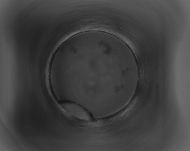 X0000100901525200806241241
