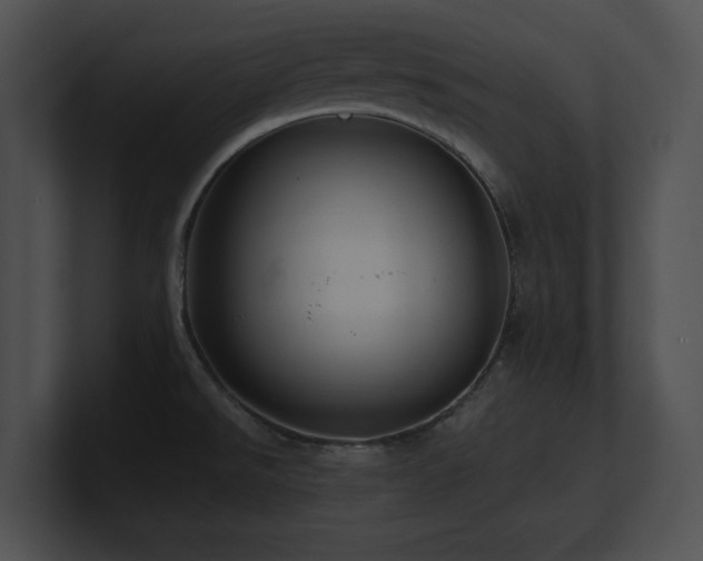 X0000100901526200806241241