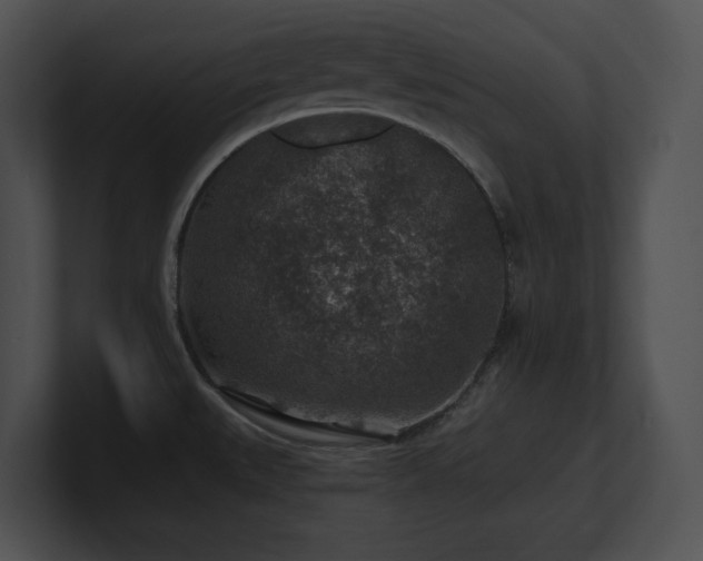 X0000100901527200806241241