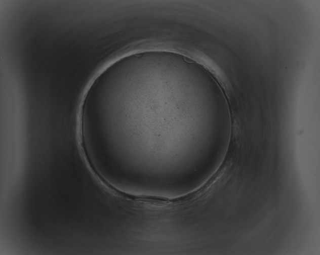 X0000100901528200806241241