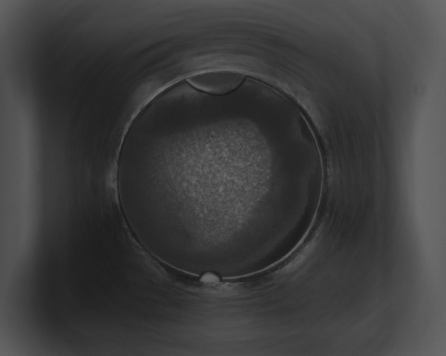 X0000100901529200806241242