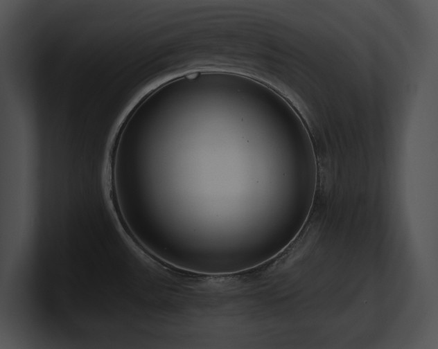 X0000100901531200806241242