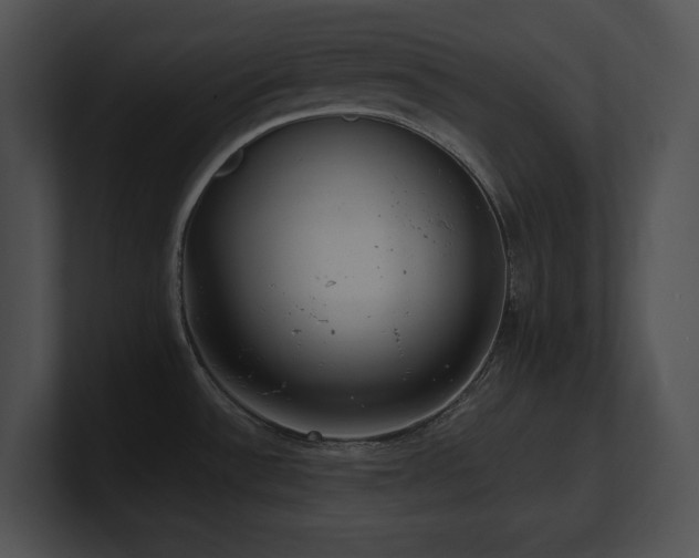 X0000100901532200806241242