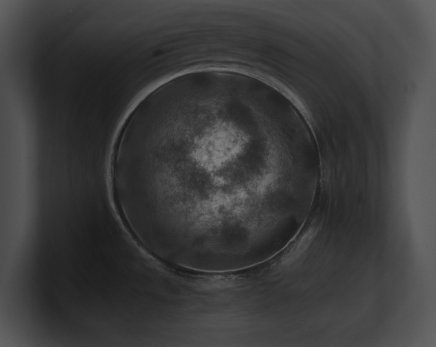 X0000100901533200806241242