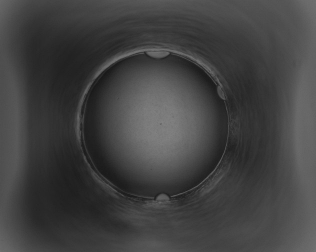 X0000100901535200806241242
