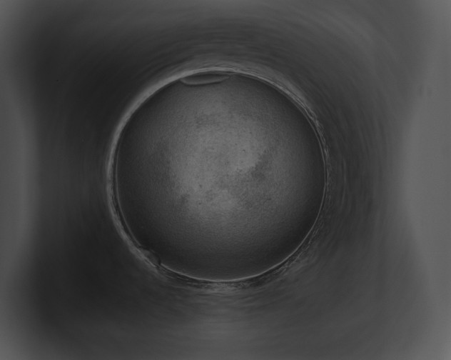X0000100901536200806241242