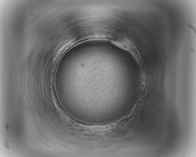 X0000100900001200807011231