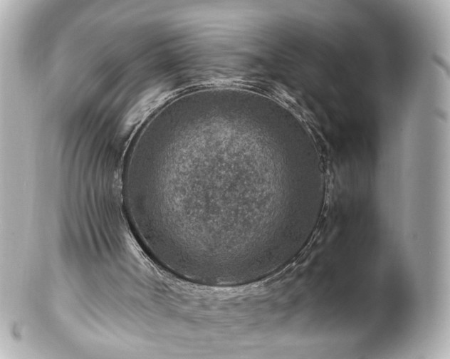 X0000100900002200807011231