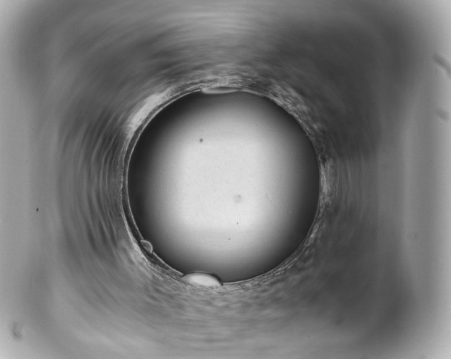 X0000100900003200807011231