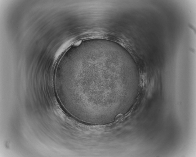 X0000100900004200807011231