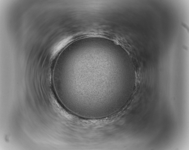 X0000100900005200807011231