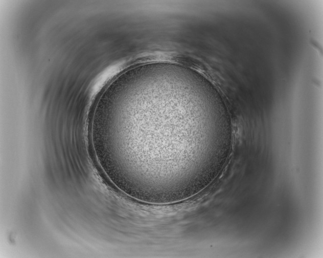 X0000100900006200807011231