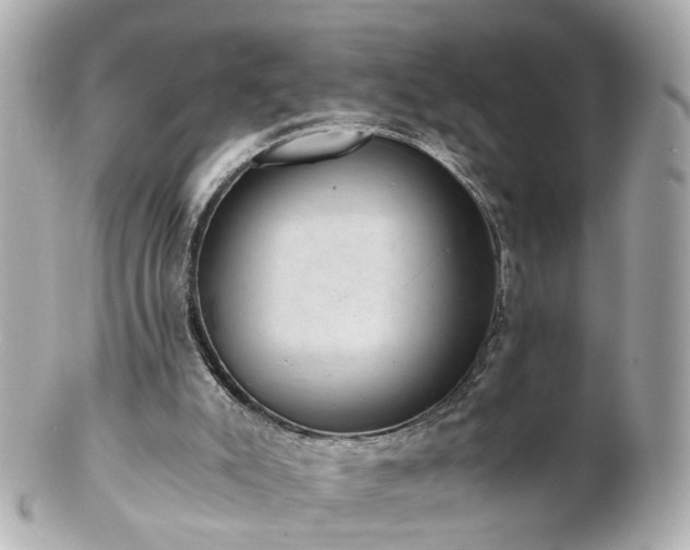 X0000100900007200807011231