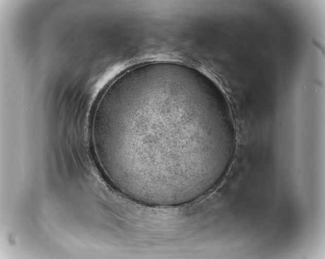 X0000100900008200807011231