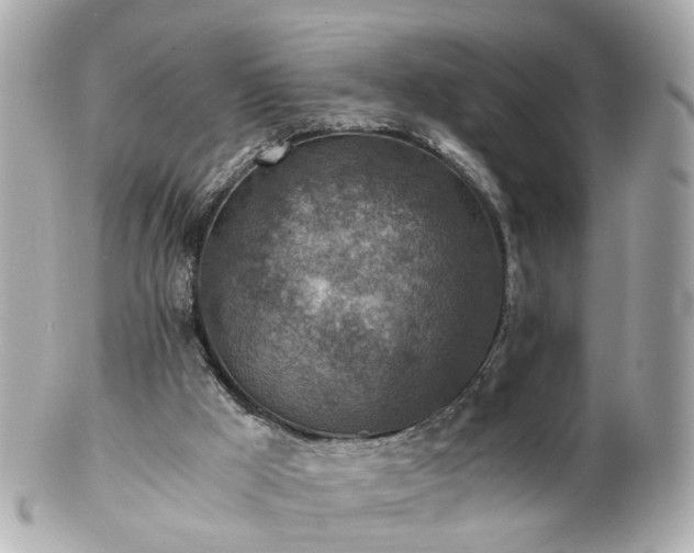 X0000100900009200807011231