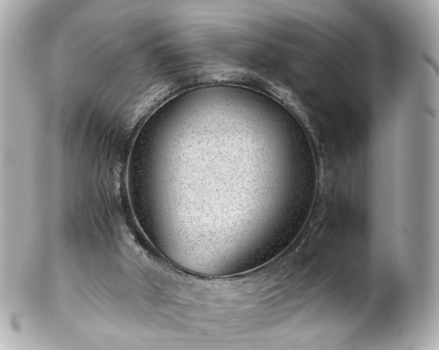 X0000100900010200807011231