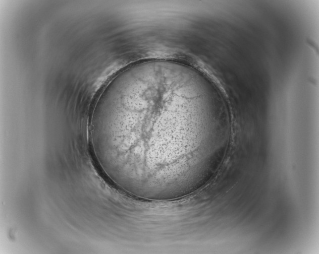 X0000100900011200807011231